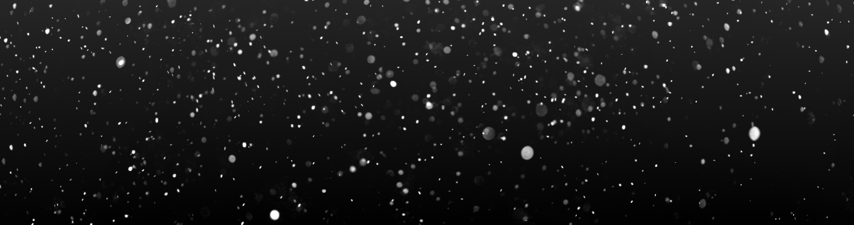Snow Overlay